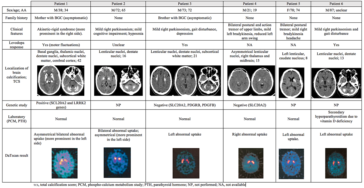Dopaminergic imaging in patients with basal ganglia calcification ...